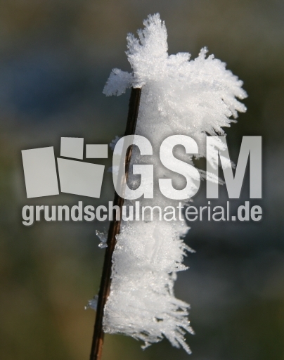 Winterimpressionen 029.jpg